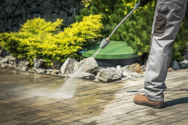 Best House Exterior Washing  in Rainbow Lakes Estates, FL