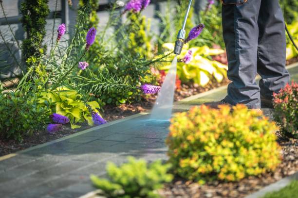 Best Pre-Holiday Cleaning  in Rainbow Lakes Estates, FL