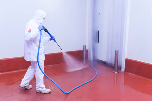 Best Building Exterior Washing  in Rainbow Lakes Estates, FL