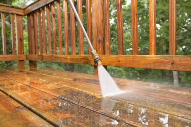Solar Panel Cleaning in Rainbow Lakes Estates, FL